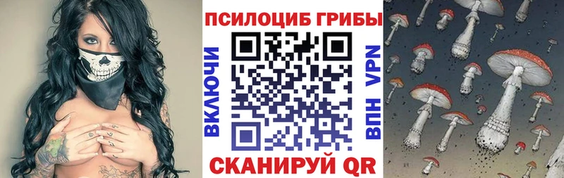 продажа наркотиков  Луза  Псилоцибиновые грибы Magic Shrooms 